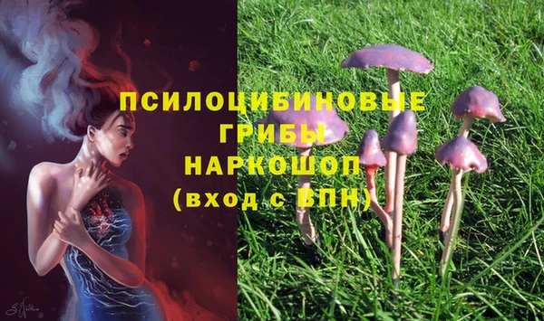 дурь Красноперекопск