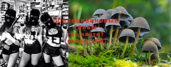 твердый Куйбышев